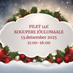 Vanamõisa Jõulumaa 2025 pilet