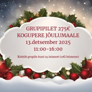 Vanamõisa Jõulumaa 2025 grupipilet